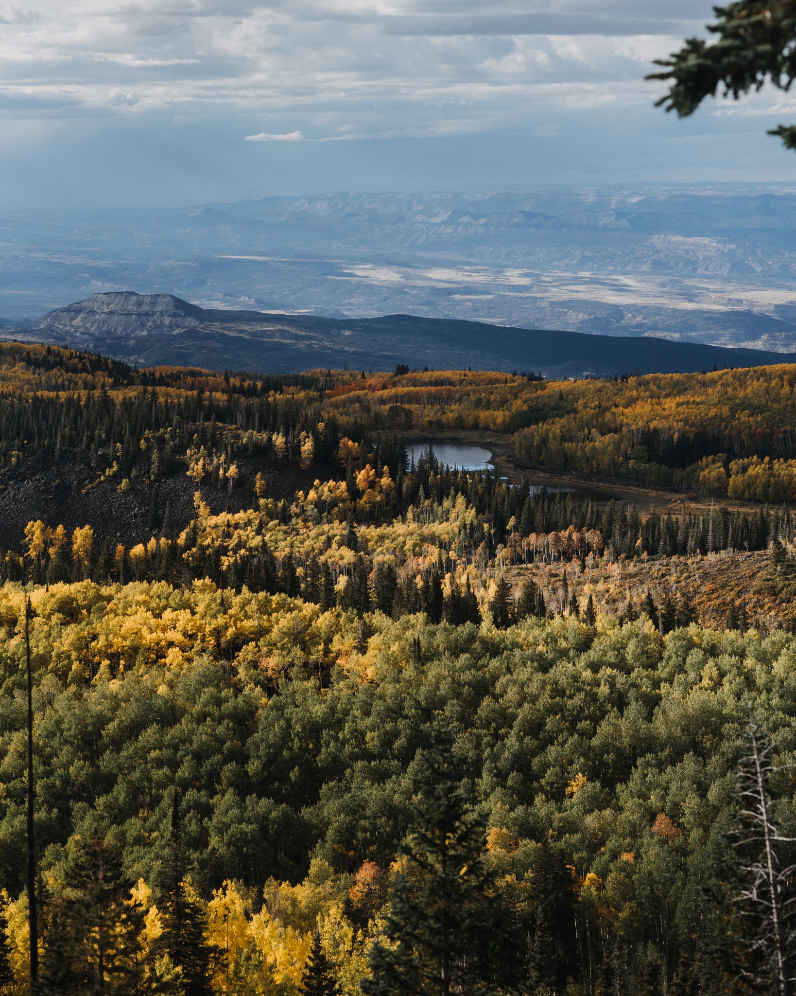 colorado mountain wedding golden hour love session