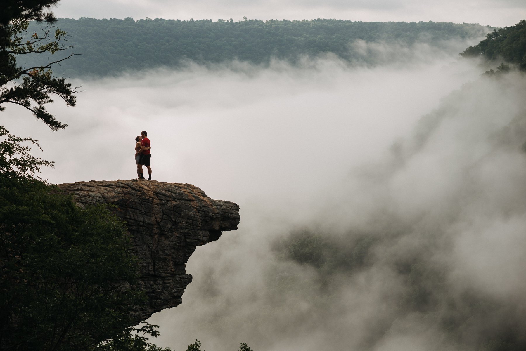 Foggy Hawksbill Crag proposal